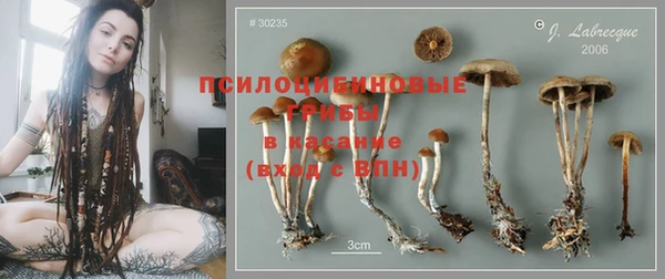 прущие крисы Абинск