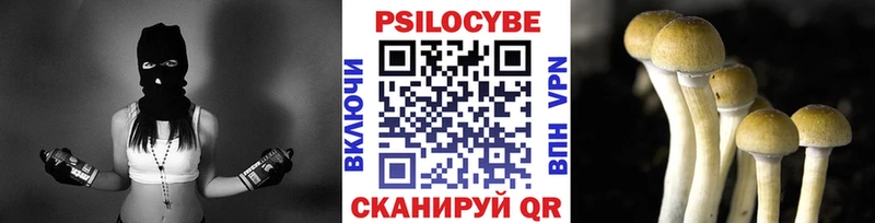 OMG   Тында  Псилоцибиновые грибы ЛСД  где можно купить  